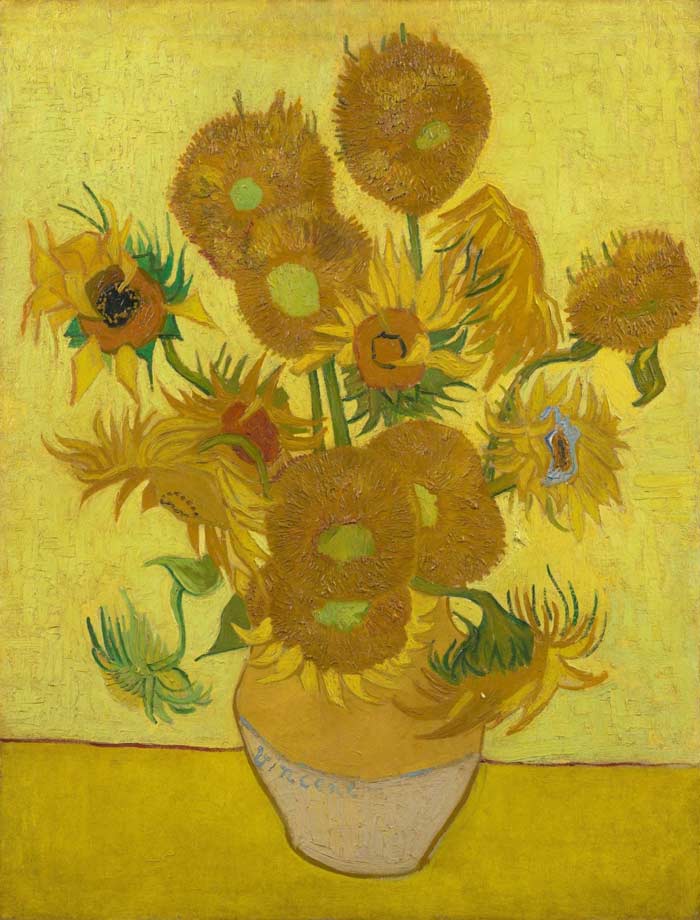 Sunflower flowers